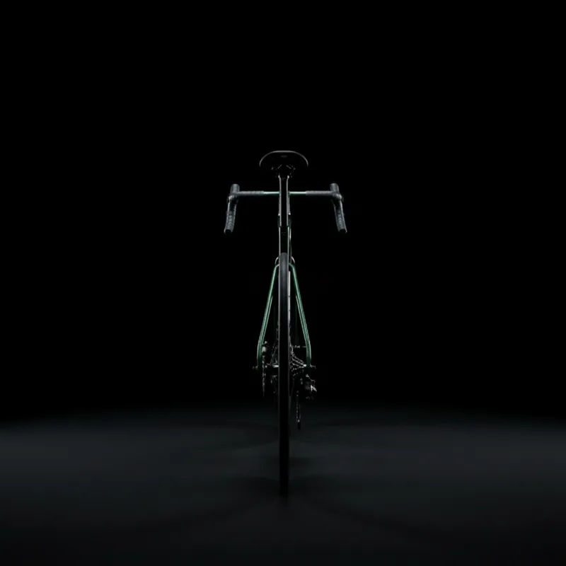 Sepeda Jalan Raya Karbon Urban - Cycling Commute Speed ulasan dan harga