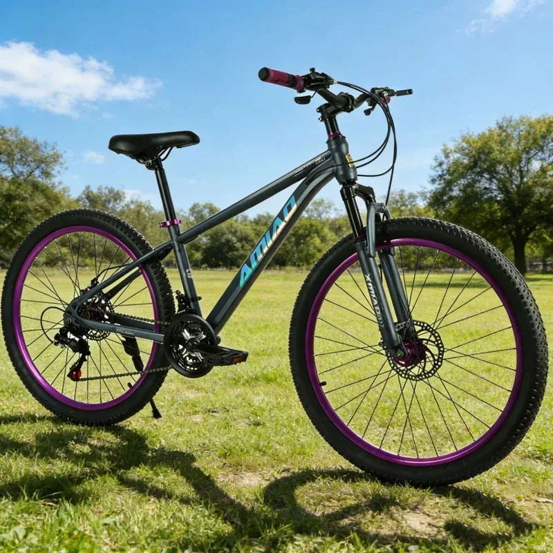 Sepeda Gunung Multi-kecepatan  - Cycling Commute Speed ulasan dan harga